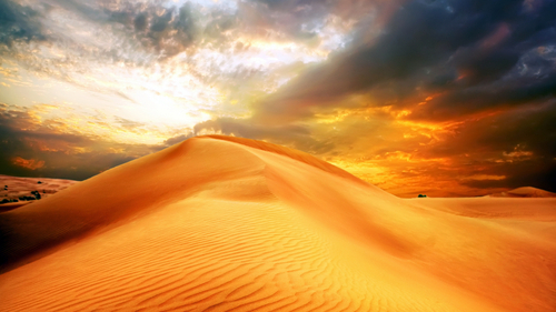 Plus d’informations sur « Dune de sable dans le désert de sonora »